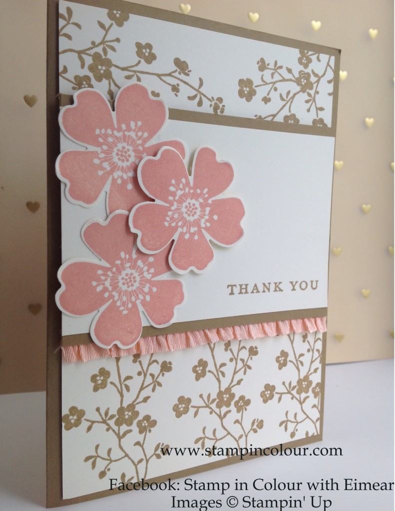 Stampin' Up Morning Meadow with Stretch Ruffle Trim, Baked Brown Sugar and Crisp Cantaloupe 2-001