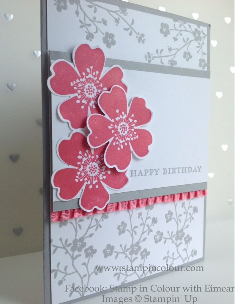 Stampin' Up Morning Meadow with Stretch Ruffle Trim, Smoky Slate ands Strawberry Slush1-001