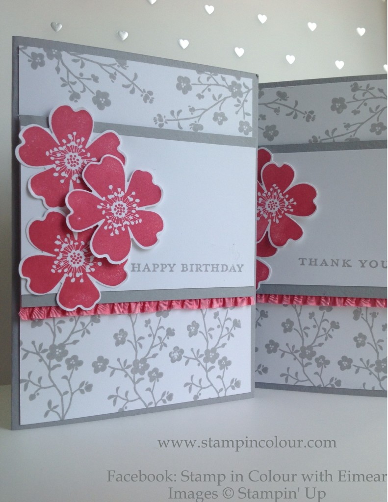 Stampin' Up Morning Meadow with Stretch Ruffle Trim, Smoky Slate ands Strawberry Slush2-001