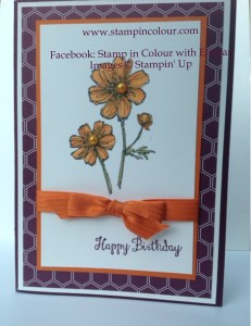 Stampin' Up Bloom with Hope Blendabilities-001