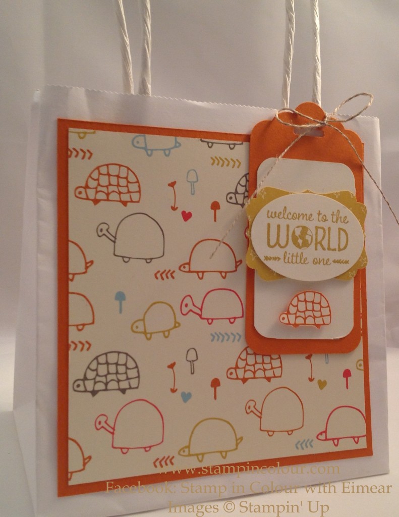 Stampin Up Sweet lil' ones gift bag-001
