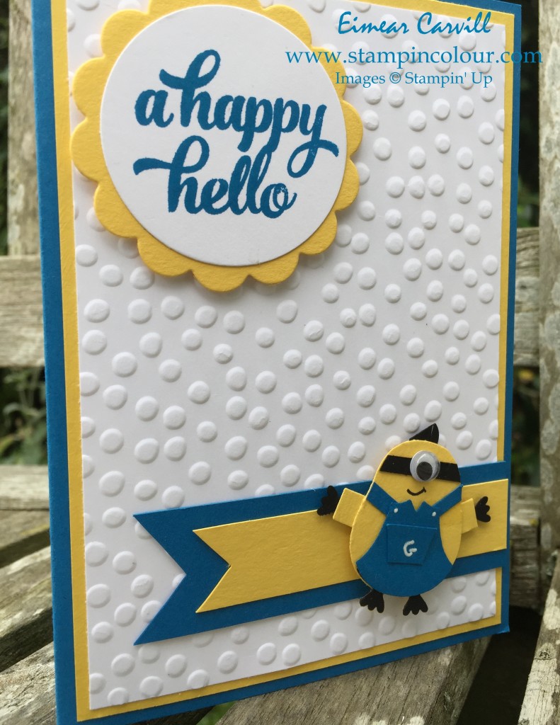 Stampin Up Minion Owl Punch with Tin of Cards-001