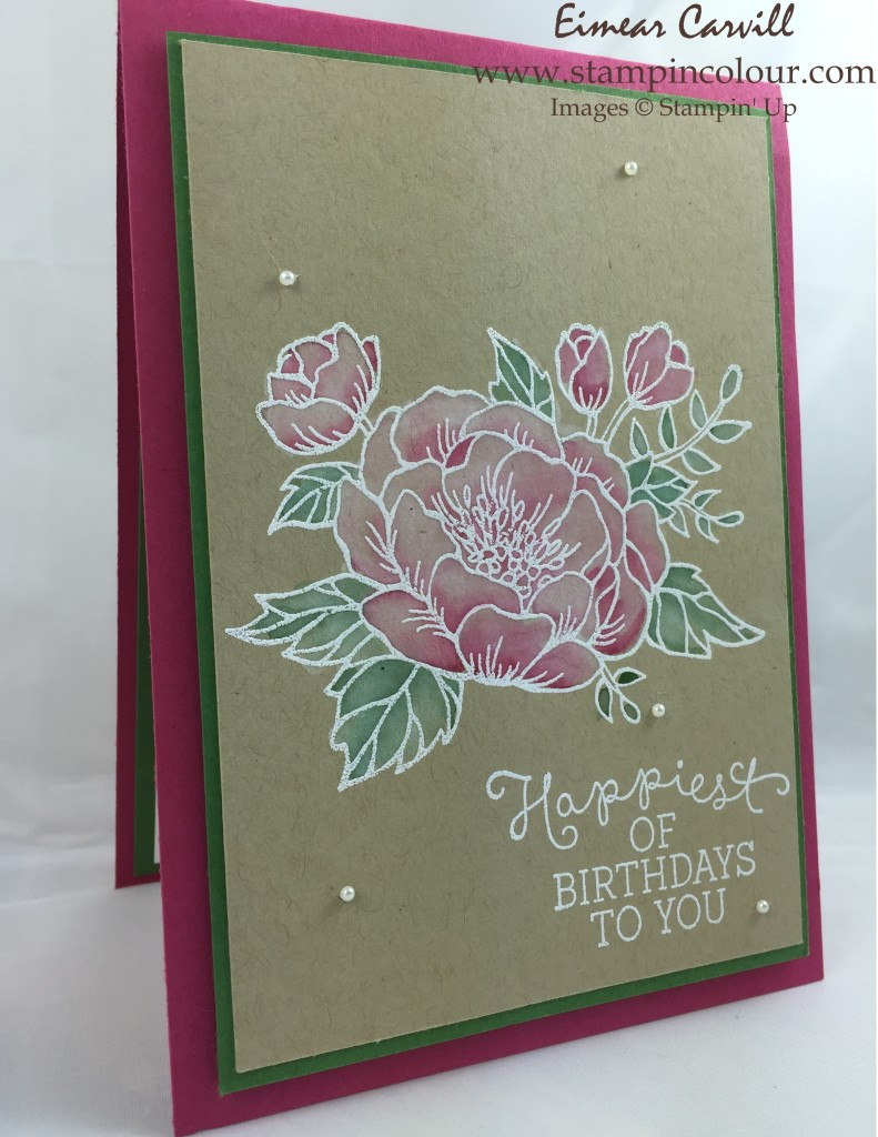 Stampin Up Birthday Blooms #GDP017-001