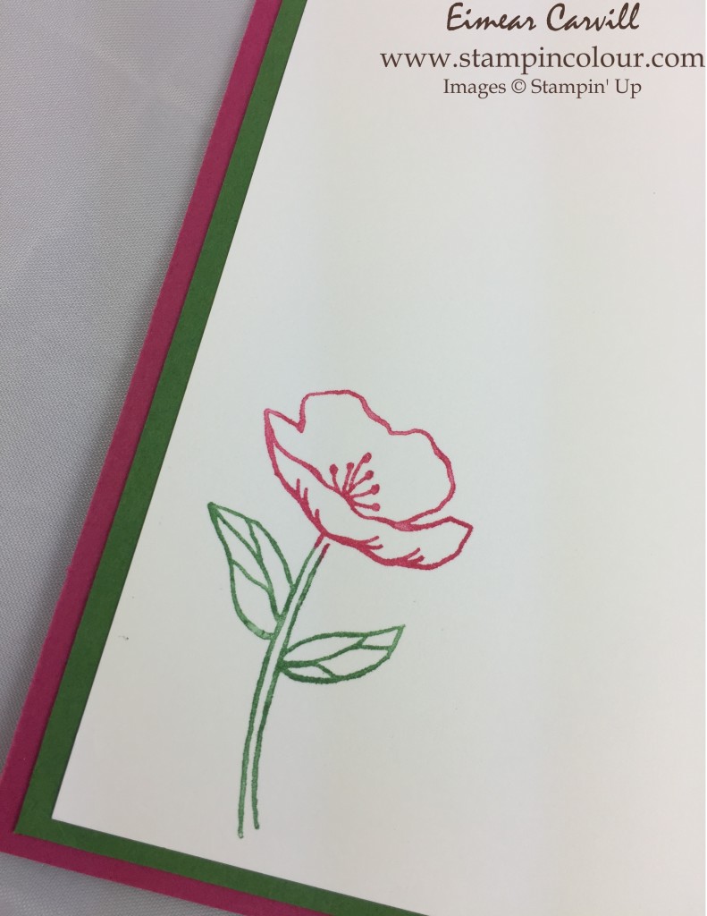 Stampin Up Birthday Blooms #GDP017 2-001