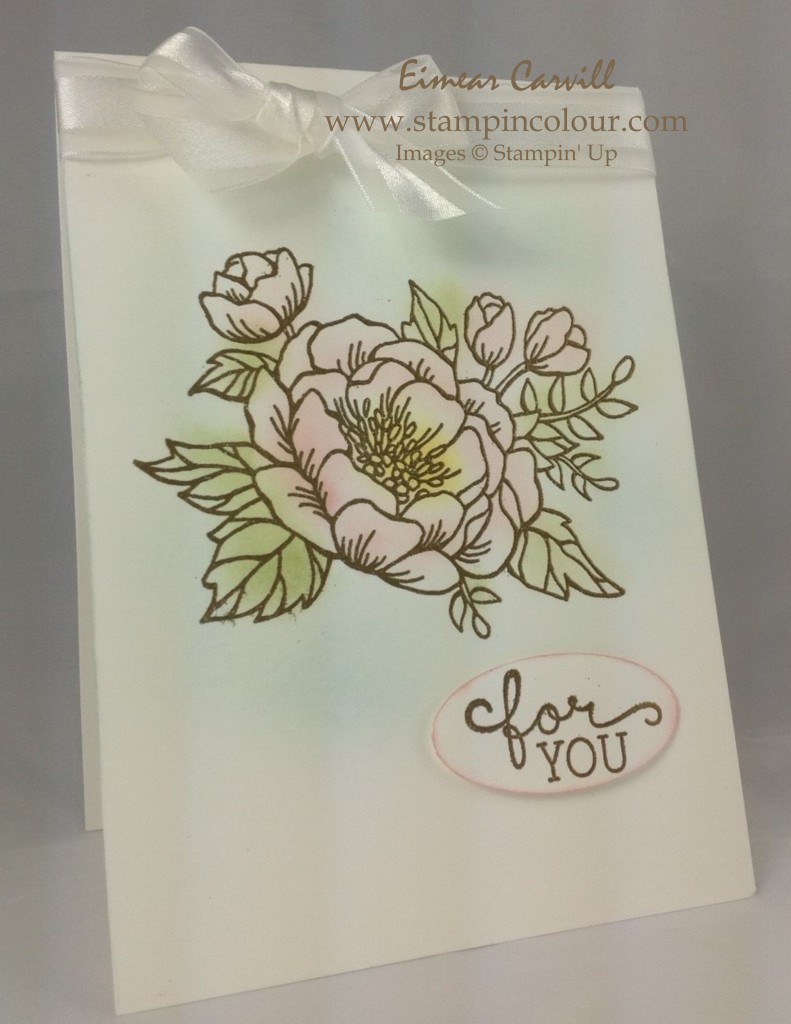 Stampin Up Birthday Blooms on Periscope-001