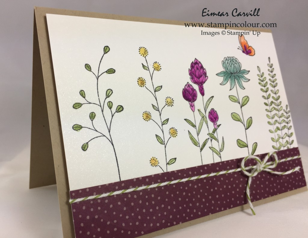 Stampin Up Flowering Fields for Periscope-001