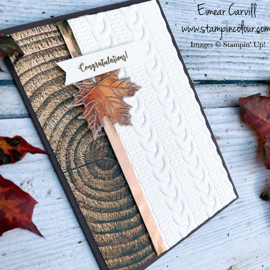 Colourful Seasons Cable Knit Autumnal card
