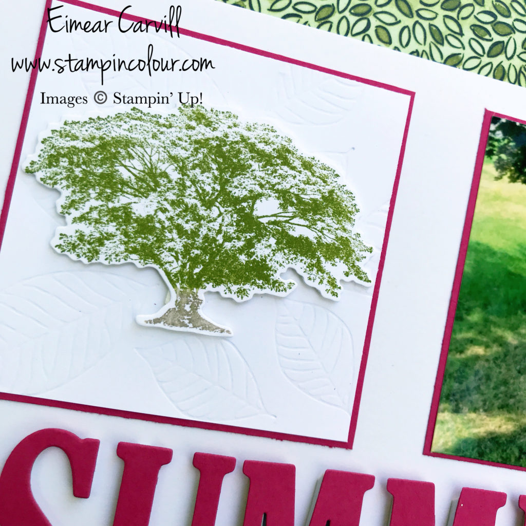 Scrapbooking Global July Challenge, Rooted in Nature Summer Scrapbook page, Melon Mambo, Old Olive, Summer Memories, Make a Difference, Stampin’ Up Scrapbooking, Eimear Carvill, www.stampincolour.com