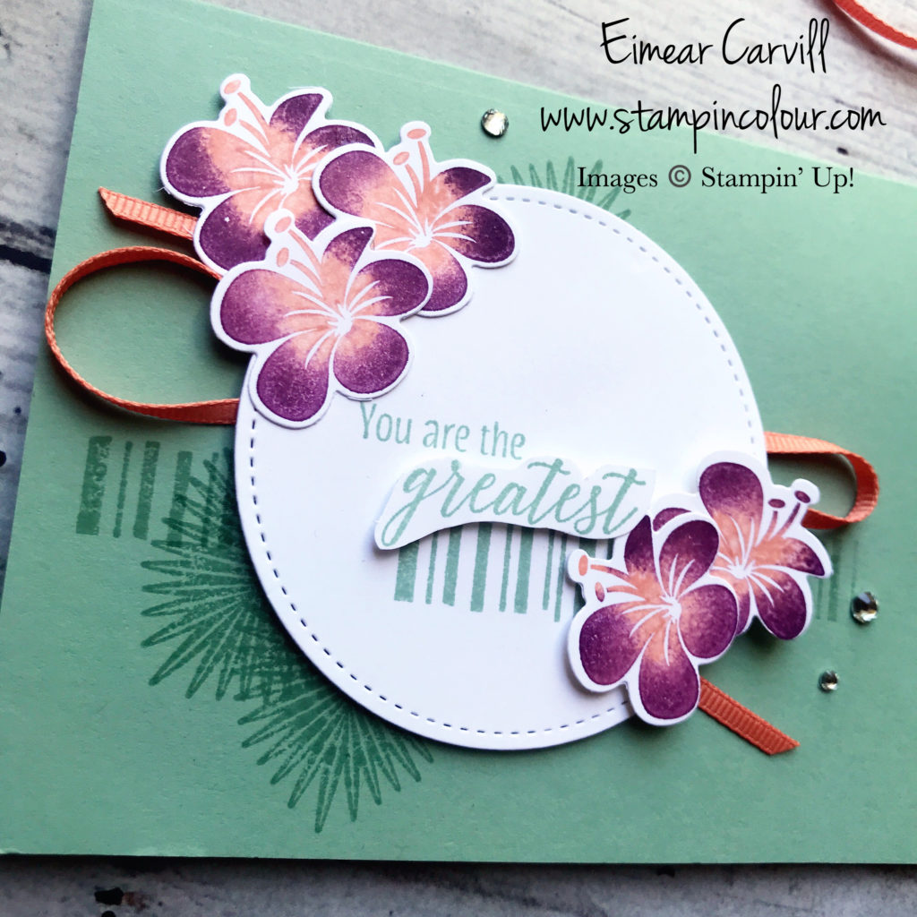 Tropical Chic, GD#145, Floral Birthday cards, handmade cards and gifts, rubber stamping, Mint Macaron, Fresh Fig, Grapefruit Grove