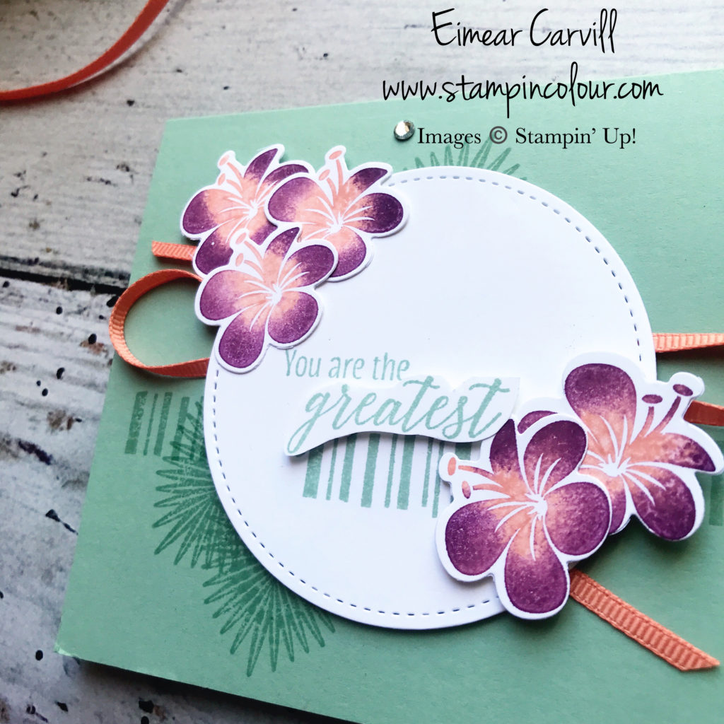Tropical Chic, GD#145, Eimear Carvill, www.stampincolour.com, Floral Birthday cards, handmade cards and gifts, rubber stamping, Mint Macaron, Fresh Fig, Grapefruit Grove