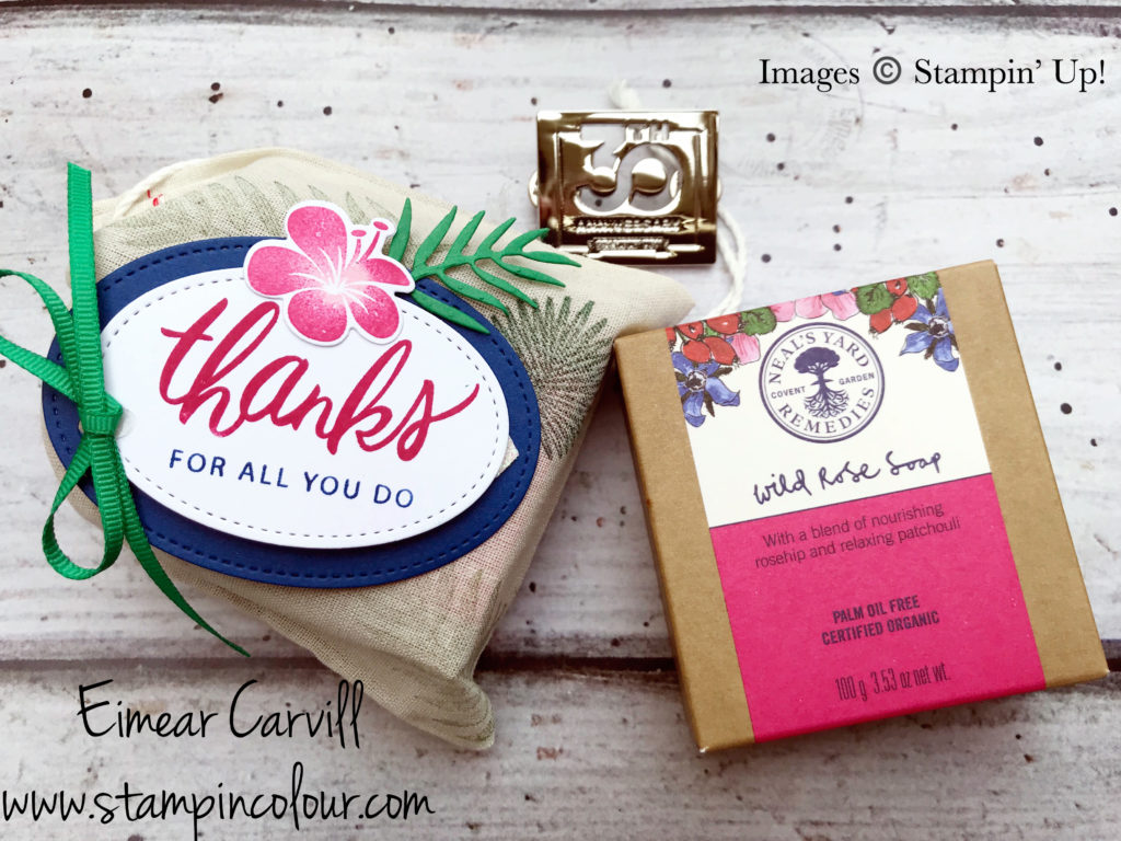 Eimear Carvill www.stampincolour.com, Onstage 2018 team gifts, Tropical Chic, Santa Bags, Friendly Expressions, handmade cards and gifts, handmade gift packaging