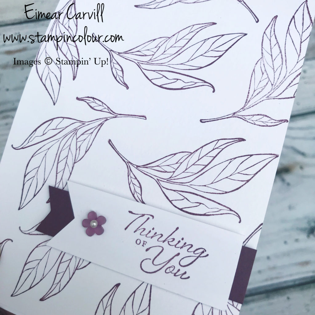 Simple Stamping, Floral Romance, All Occasion cards, Fresh Fig, Pear Pizzazz, Petal Pink, Wedding cards, Thinking of you cards, Sympathy cards, handmade cards and gifts, paper crafting, stampin' up uk, Wiltshire crafts,