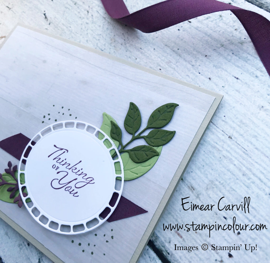 Wonderful Romance, Floral Romance, handmade sympathy card, thinking of you card, handmade cards and gifts, papercrafting uk stampin up uk, Fresh Fig, Eimear Carvill, www.stampincolour.com