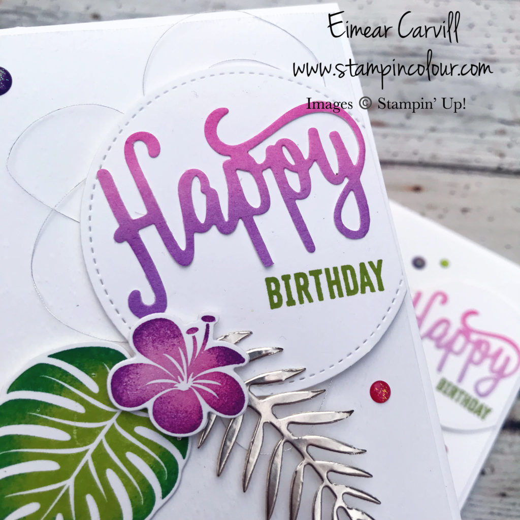 Tropical Chic Birthday Card, Sponge Brayer, Champagne Foil, Glitter Enamel Dots, Handmade cards and gifts, handmade birthday, Eimear Carvill, www.stampincolour.com