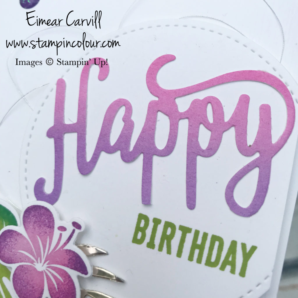 Tropical Chic Birthday Card, Sponge Brayer, Champagne Foil, Glitter Enamel Dots, Handmade cards and gifts, handmade birthday, Eimear Carvill, www.stampincolour.com