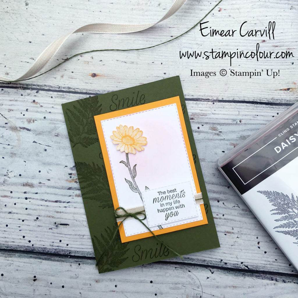 Daisy Lane, All occasion cards, 2019/2020 Stampin; Up Annual catalogue, floral cards, Eimear Carvill, www.stampincolour.com, handmade cards and gifts, swindon card making classes