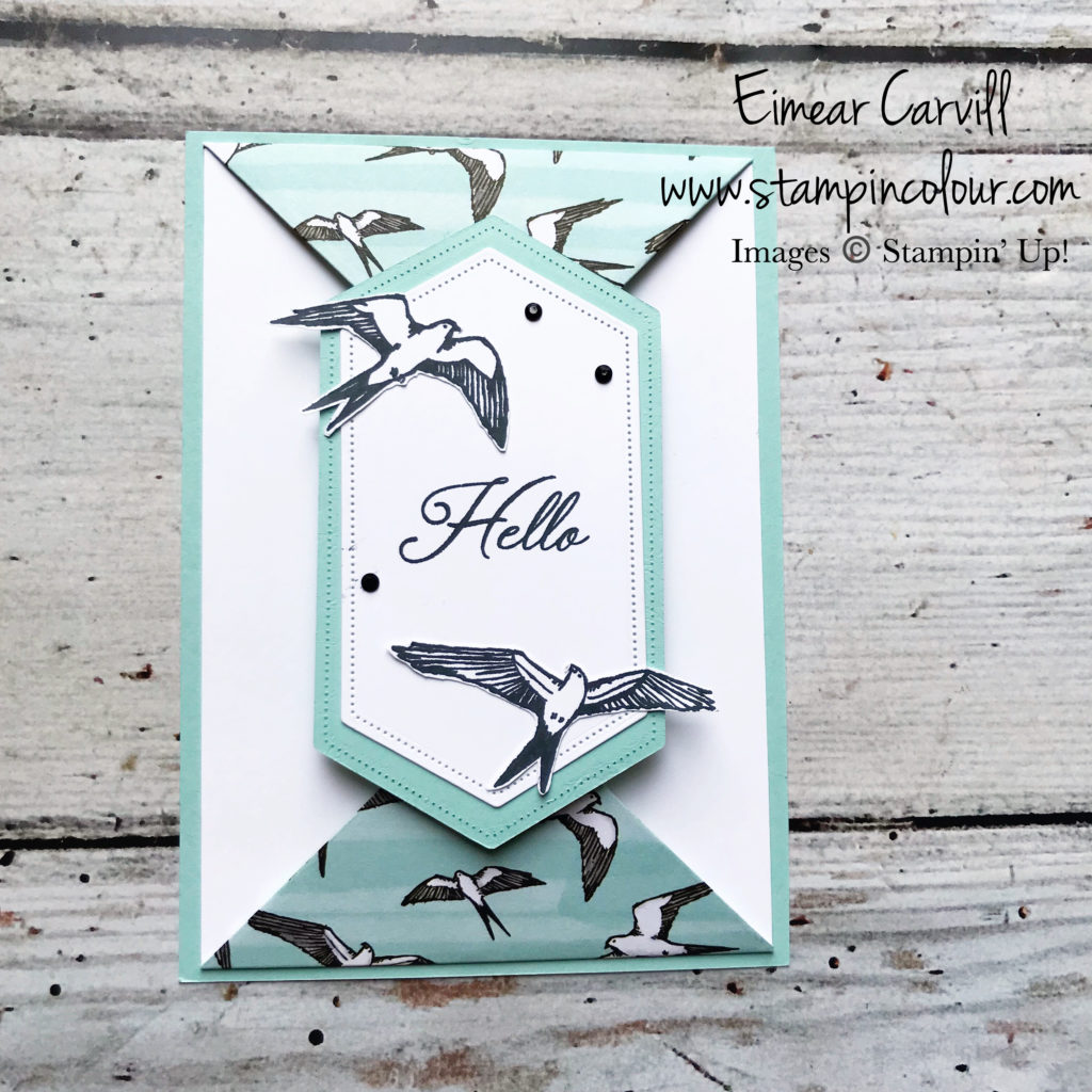 Bird ballad DSP, Hugs from Shelli, Paper Pumpkin, Double Point Fold Card, fancy folds, handmade cards and gifts, Eimear Carvill, www.stampincolour.com