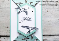 Bird ballad DSP, Hugs from Shelli, Paper Pumpkin, Double Point Fold Card, fancy folds, handmade cards and gifts, Eimear Carvill, www.stampincolour.com