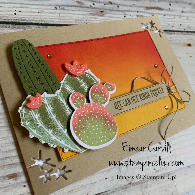 Beautiful sponged sunset background card featuring various cactus plants from the upcoming Flowering Cactus Product Mreley