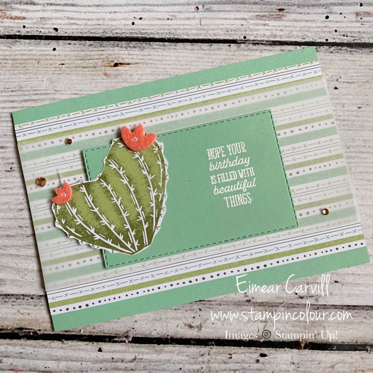 A Mint green birthday card featuring the Flowering Cactus Product Medley from Stampin' Up!
