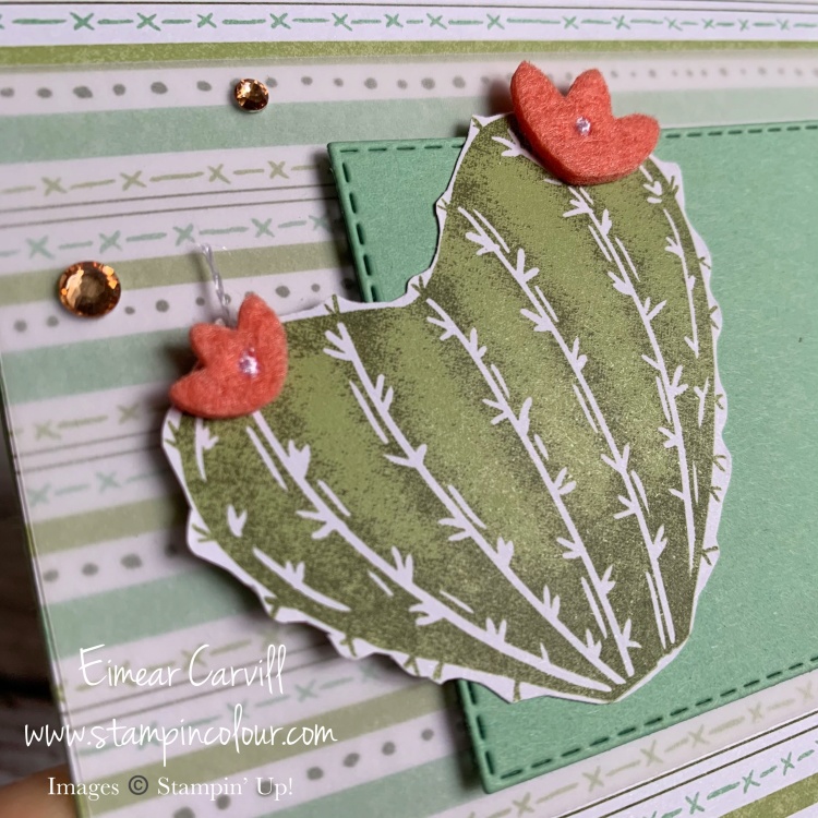 A Mint green birthday card featuring the Flowering Cactus Product Medley from Stampin' Up!