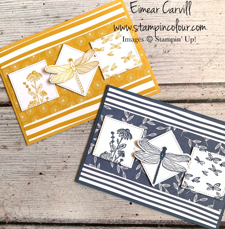Monchrome cards in shades of Blue and Yellow featuring DSP from Dandy Garden and the gorgeous Dragonfly Garden bundle