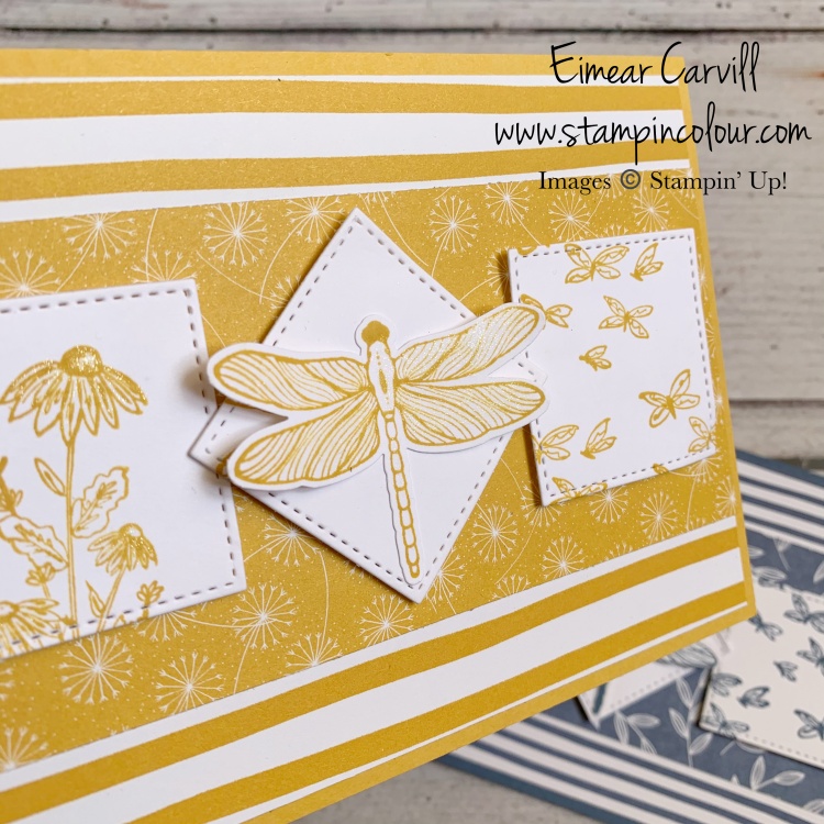 Monchrome cards in shades of yellow featuring DSP from Dandy Gardne and the gorgeous Dragonfly Garden bundle