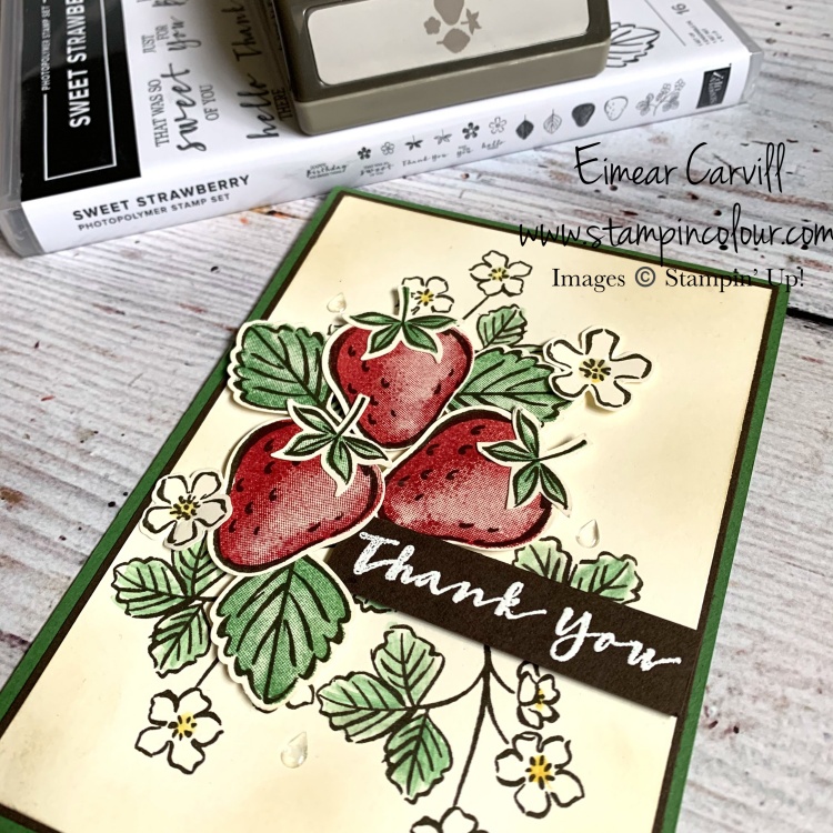 Thank you card featuring a more vintage look for the Sweet Strawberry Bundle in Cherry Cobbler and Garden Green on Very Vanilla