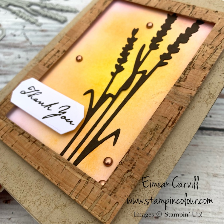 An Autumnal coloured card featuring a sunset blended background in Crushed curry and Pumpkin Pie framed with Cork Speciality paper